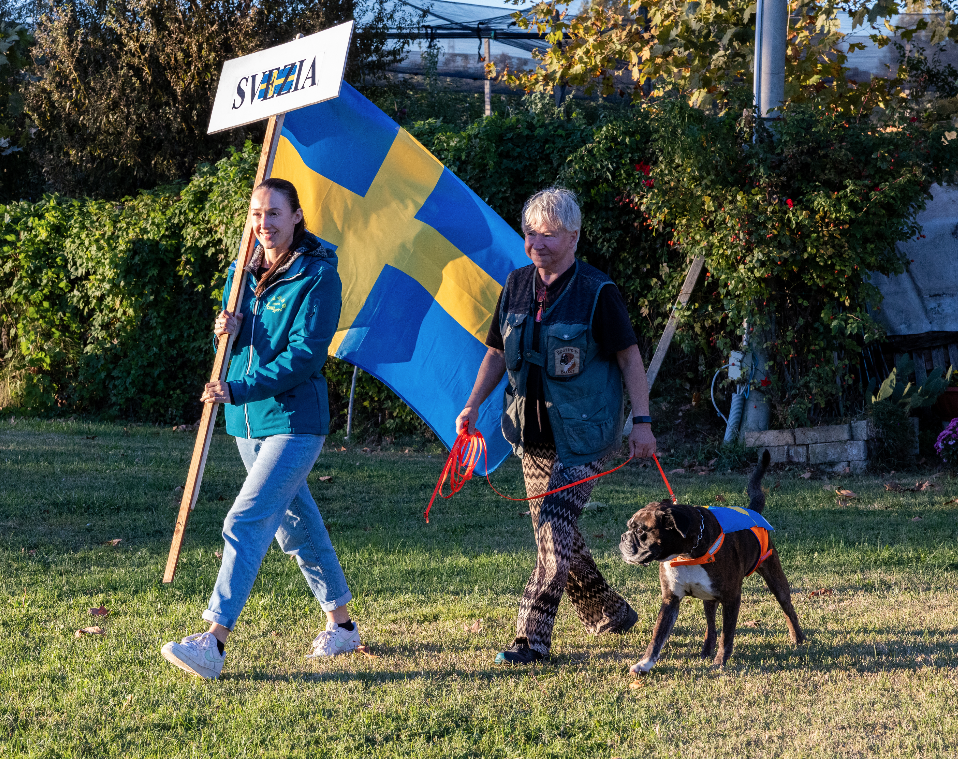 Sweden Team.png